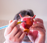 כשהערמונית גדלה-תמונה